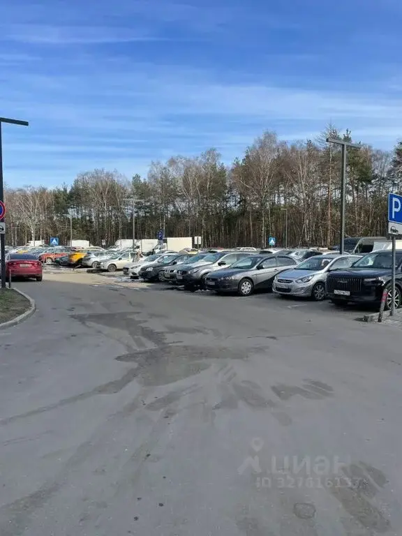 Купить однокомнатную квартиру 32.6м ул. Академика Северина, 13, ... - Фото 5