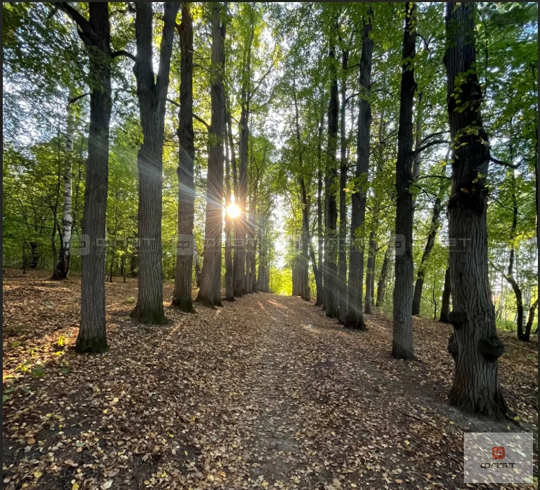 Продажа участка, Нижний Услон, Верхнеуслонский район, ул. Первомайская - Фото 6