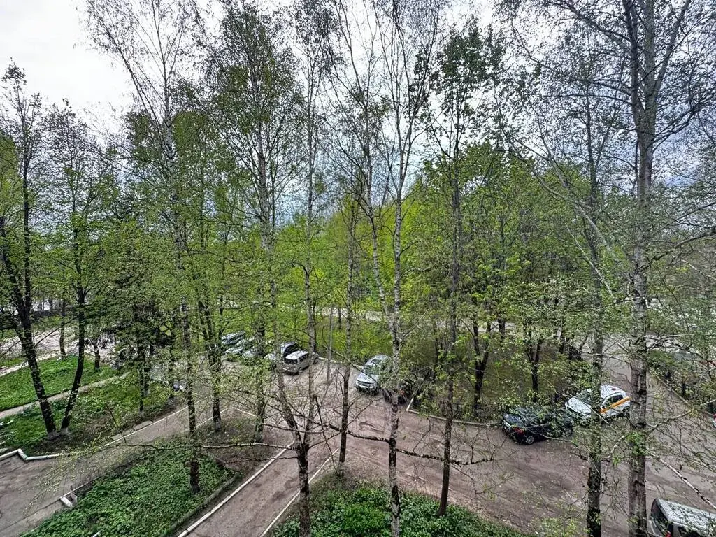 2-к. квартира, 48,9 м2, 4/5 эт. - Фото 12