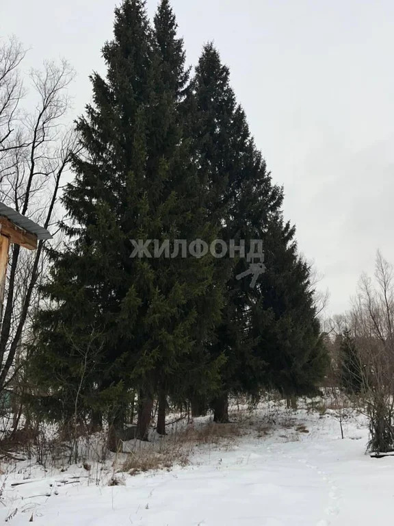 Продажа дома, Кубовая, Новосибирский район, ул. Набережная - Фото 25