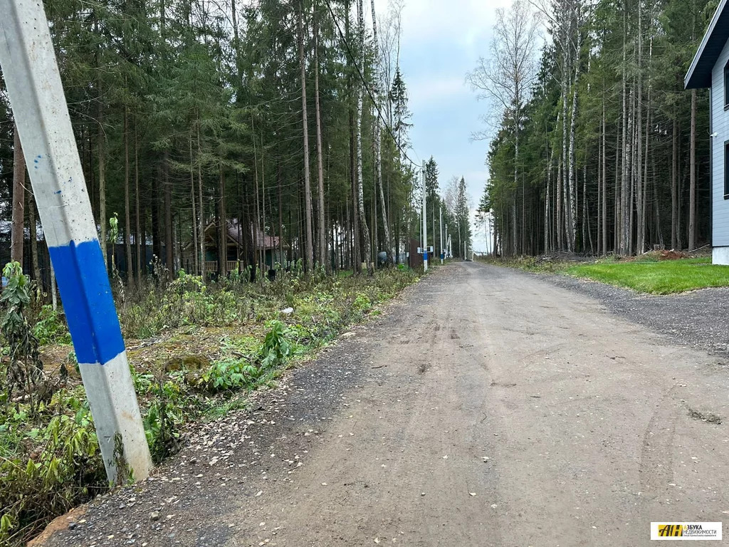 Продажа участка, Жилино, Богородский г. о. - Фото 6