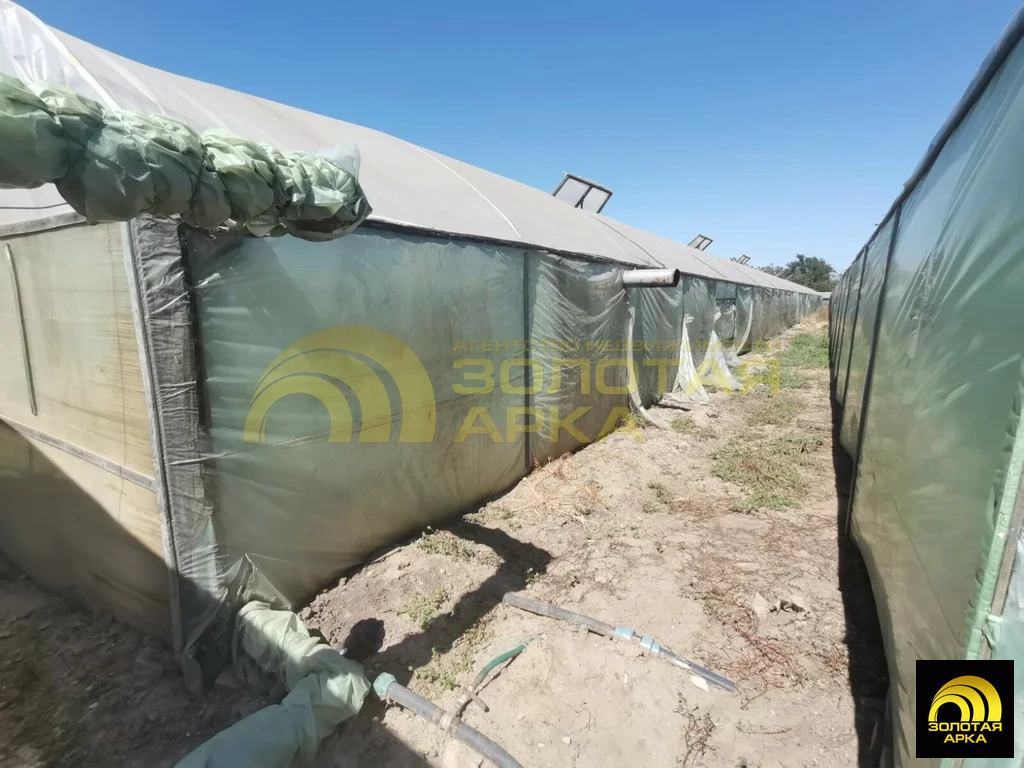 Продажа производственного помещения, Старонижестеблиевская, ... - Фото 5