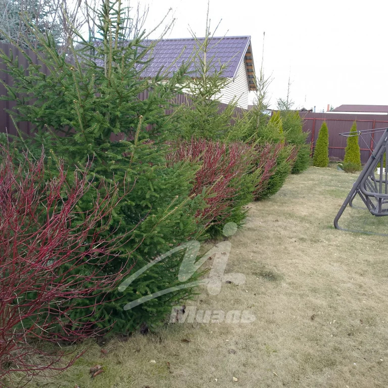 Продажа дома, Косякино, Раменский район, 24/1 кв-л. - Фото 8