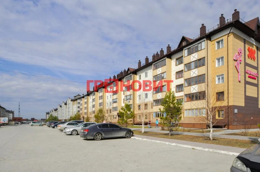 Продажа квартиры, Элитный, Новосибирский район, микрорайон Фламинго - Фото 23