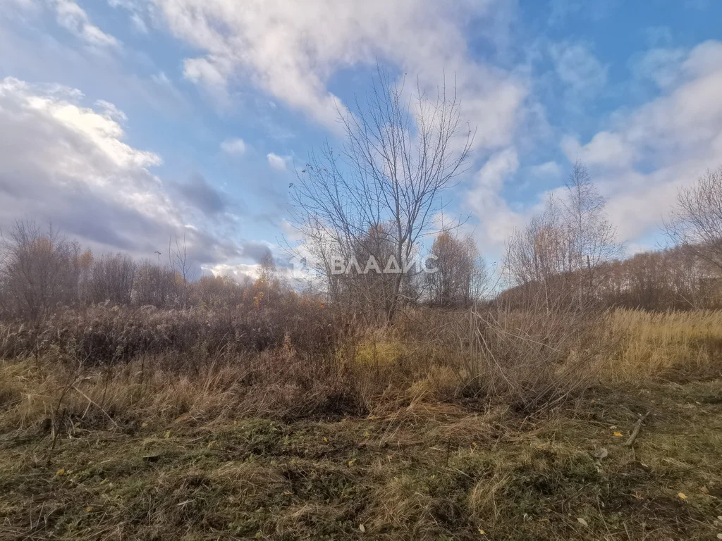 Суздальский район, село Новоалександрово,  земля на продажу - Фото 20