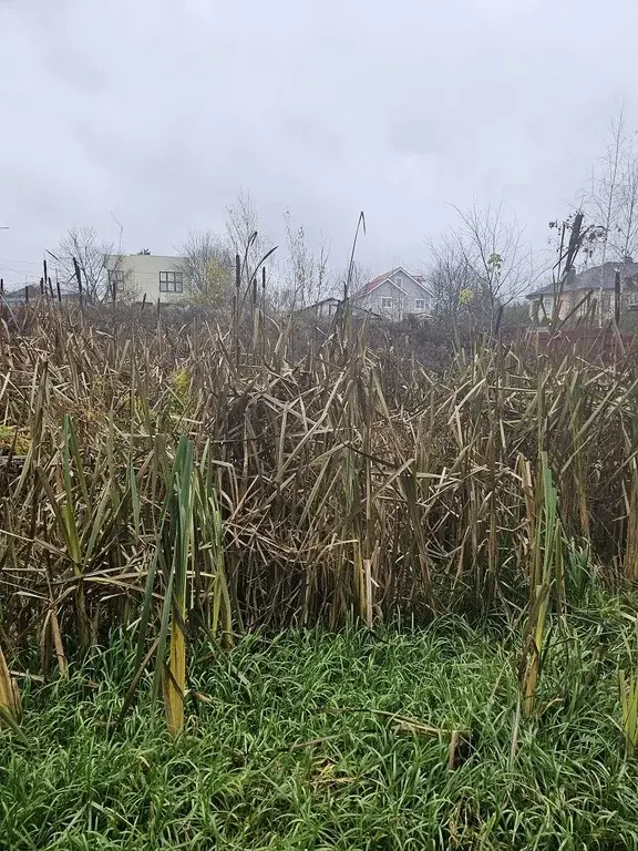 Участок на Рублевке в коттеджном поселке 15 км с выездом на платку - Фото 7