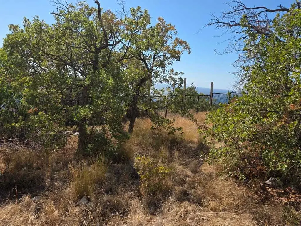 Продажа участка на Южном берегу Крыма (Форос)— первая линия у моря. - Фото 1