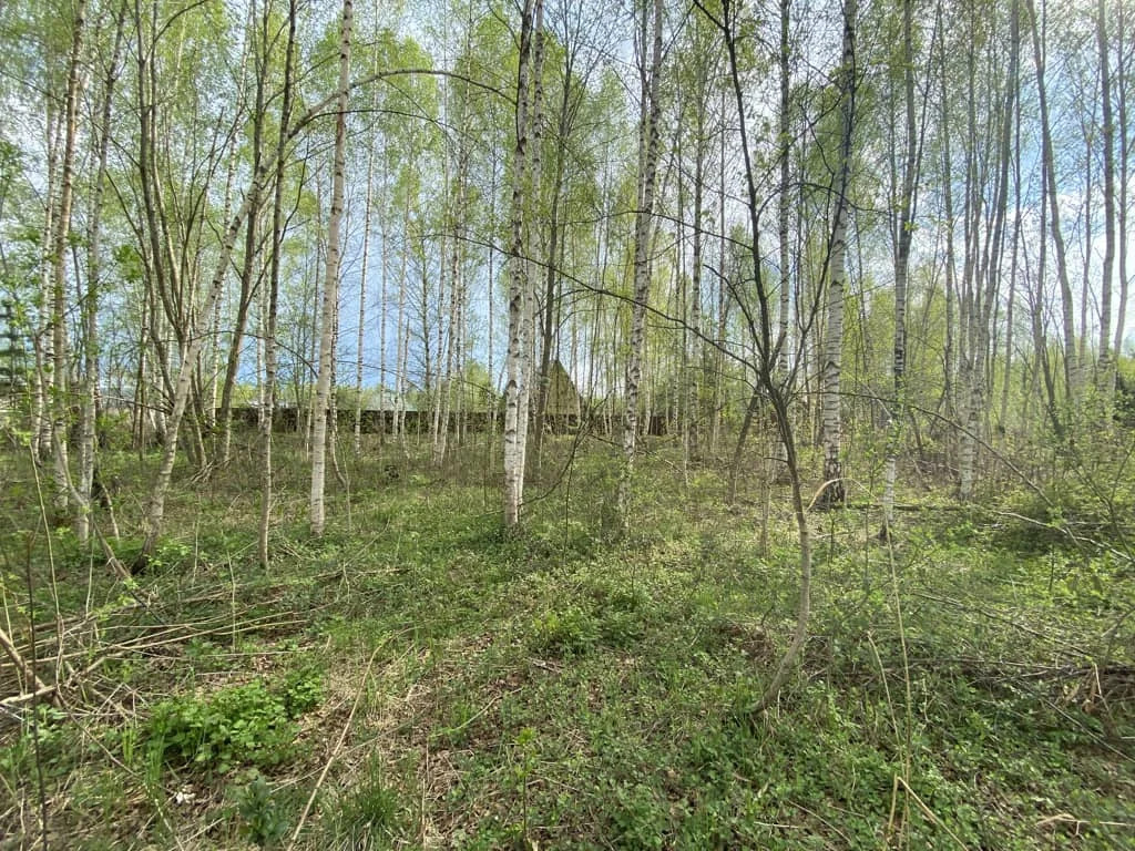 Продажа участка, Дмитровский район - Фото 4