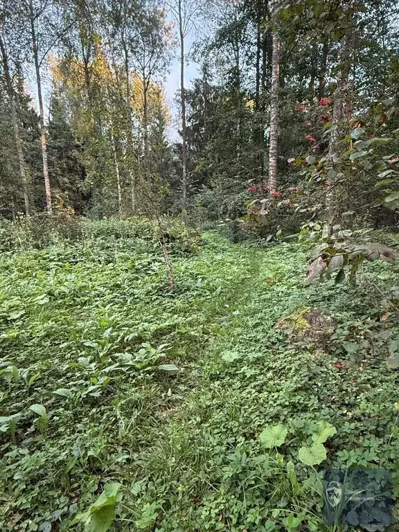 Коттедж 200 кв. м. в Новоглаголевo, 37 км от MKAД - Фото 33