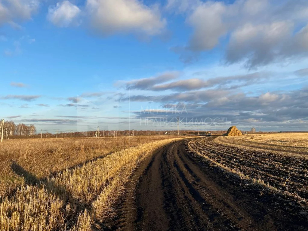 Продажа участка, Червишево, Тюменский район, Тюменский р-н - Фото 0