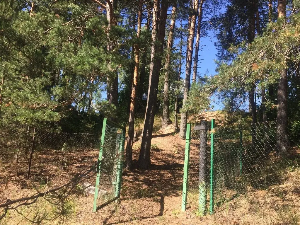 Дом 300 м на участке 20 сот. - Фото 6