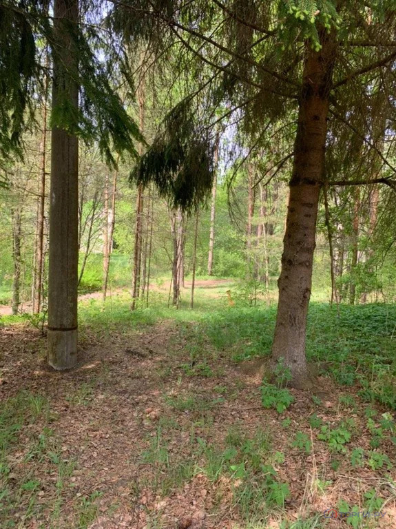 Продажа ПСН, Серебряники, Вышневолоцкий район - Фото 7