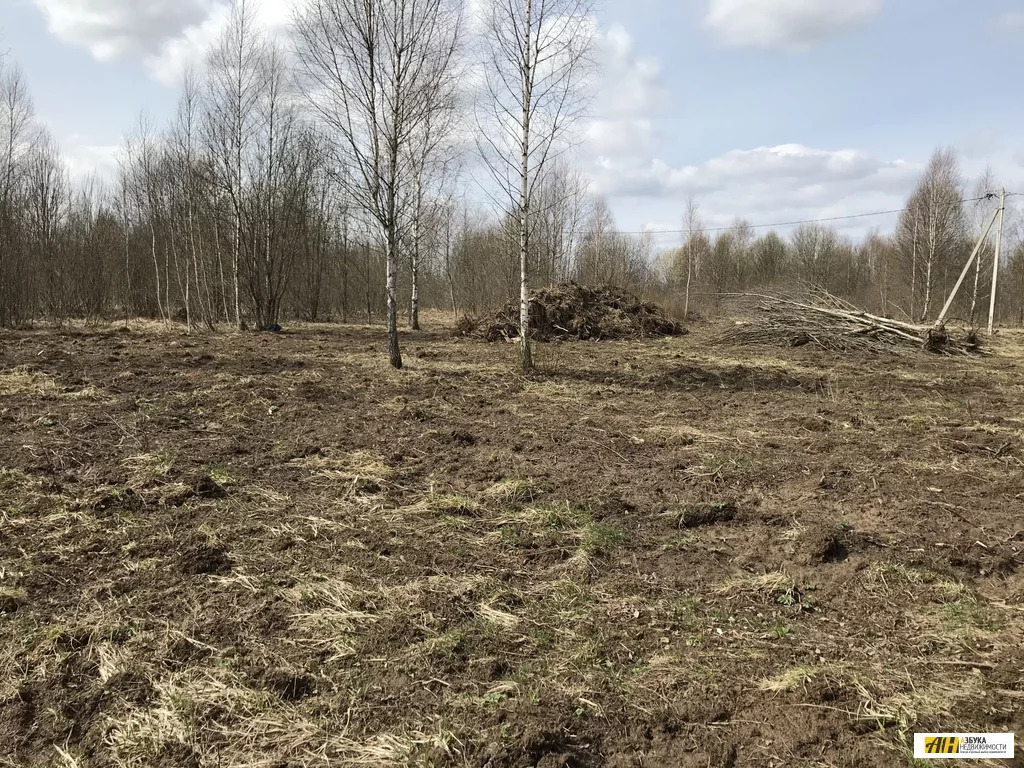 Константиново участки. Константиново (Воскресенский район). Деревня Константиново Рузский район фото.