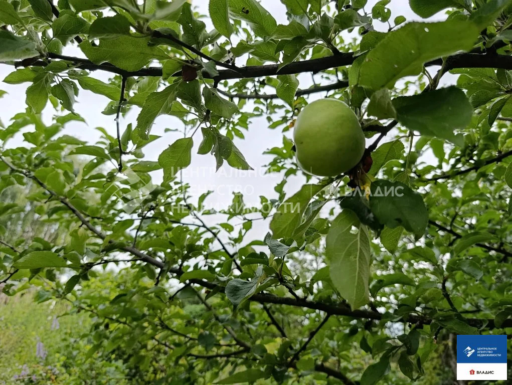 Продажа дома, Старожилово, Старожиловский район, ул. Почтовая - Фото 9