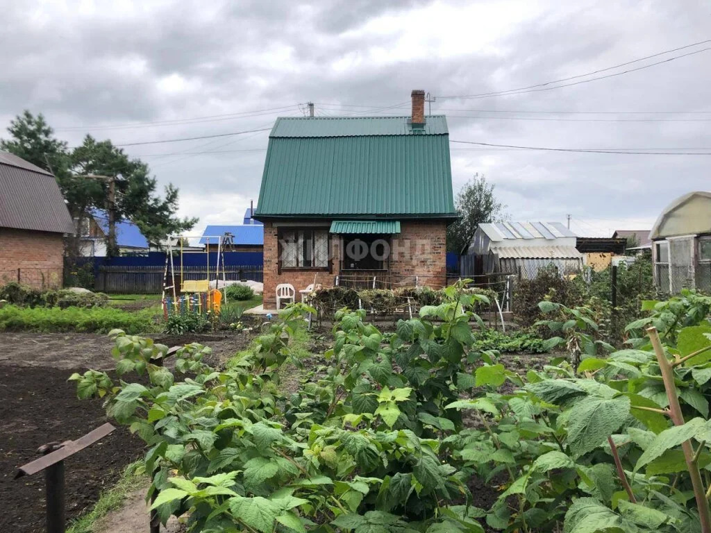 Продажа дома, Новосибирск, снт Кедр - Фото 0