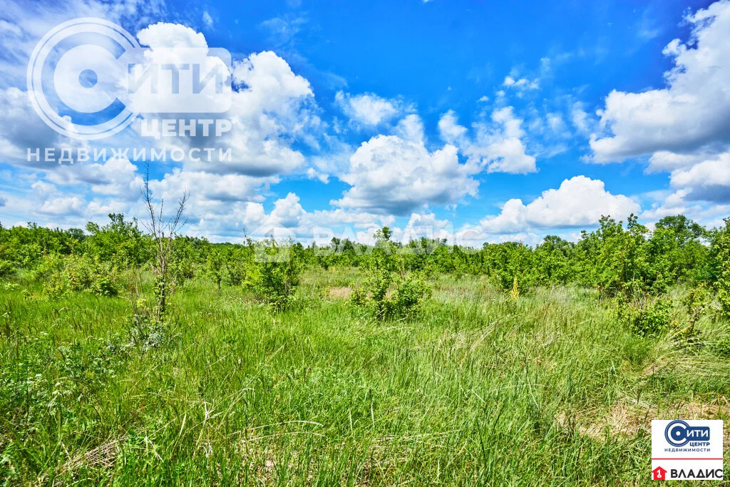 Продажа участка, Гудовка, Семилукский район - Фото 1