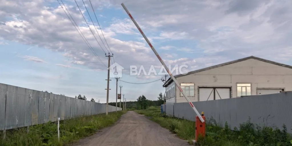 Красная заря всеволожский. Массив Соржа Старая Всеволожский район.