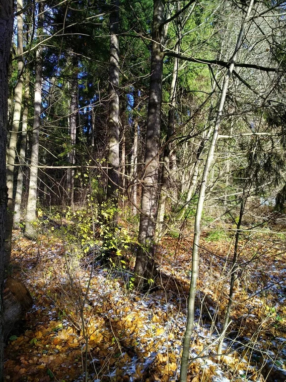 Продажа дома, Мытищинский район - Фото 14