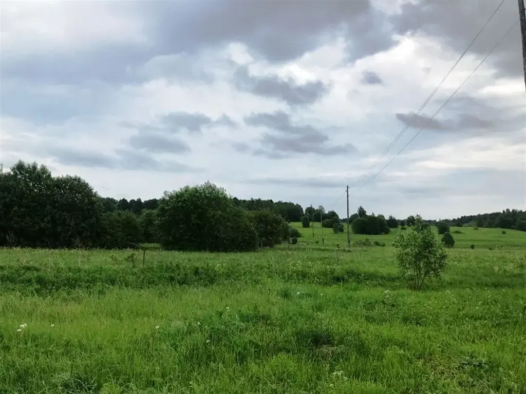 Село троицкое участок. Деревня Троицкое Переславский район.