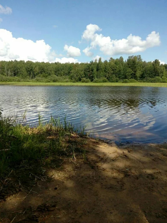 Фото вичелово череповец