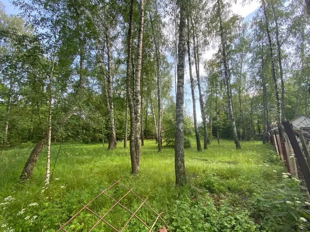 Лесной участок на Рублевке в элитном поселке - Фото 2