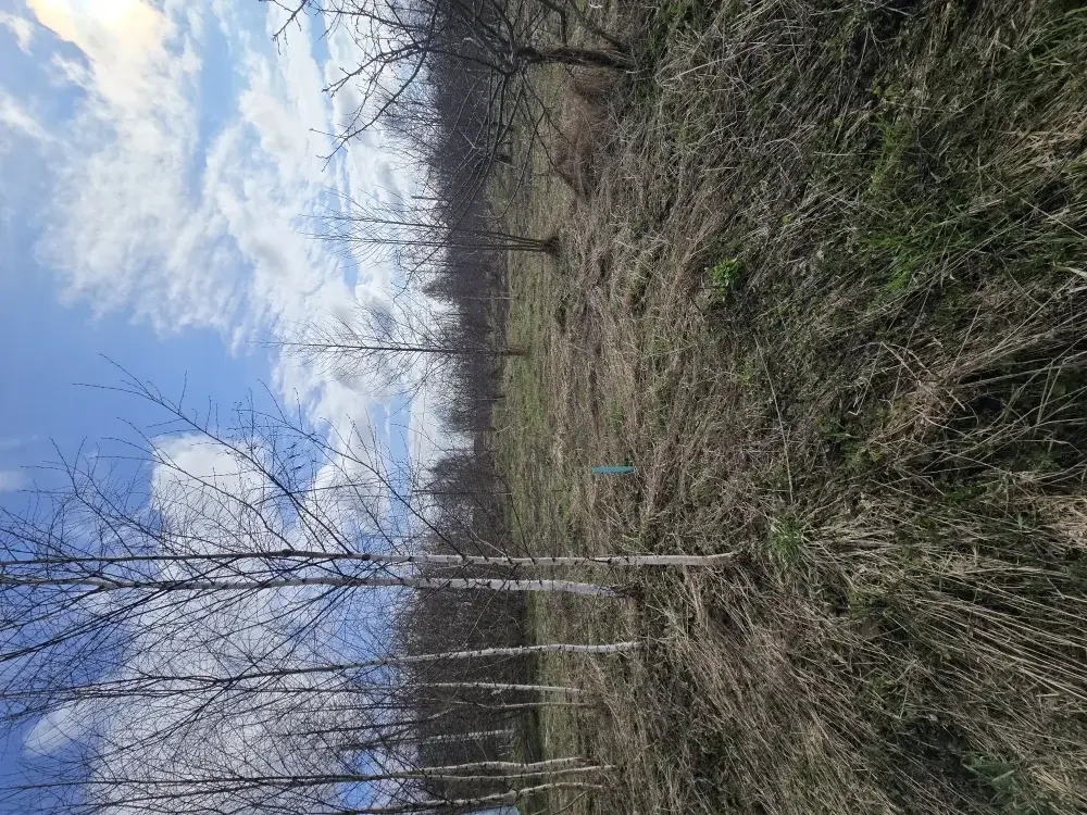 Продаю участок 10 соток в пос. Гарь-Покровское - Фото 2