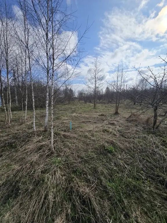 Продаю участок 10 соток в пос. Гарь-Покровское - Фото 2