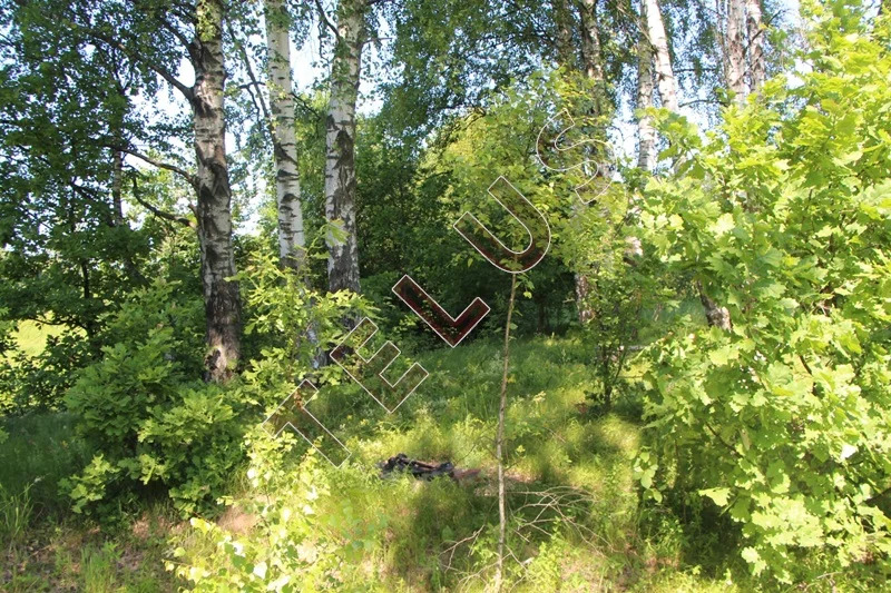 МО, Богородский г.о., с. Богослово, Земельный участок 7 га (ном. ... - Фото 18