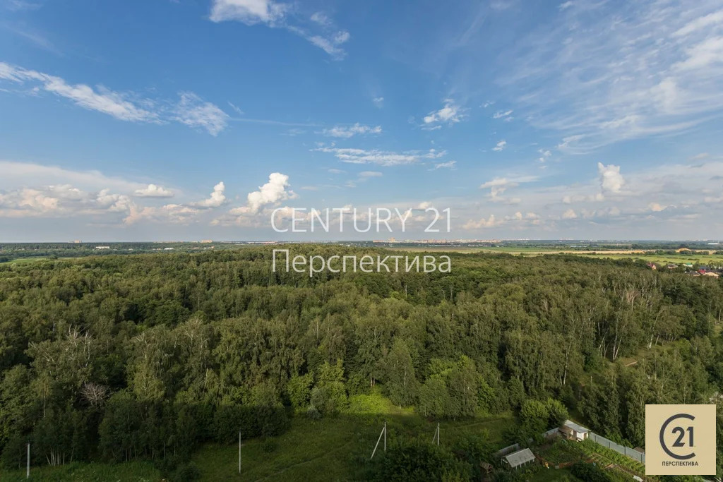 Продажа квартиры, Раменское, Раменский район, улица летчика Волчкова - Фото 6