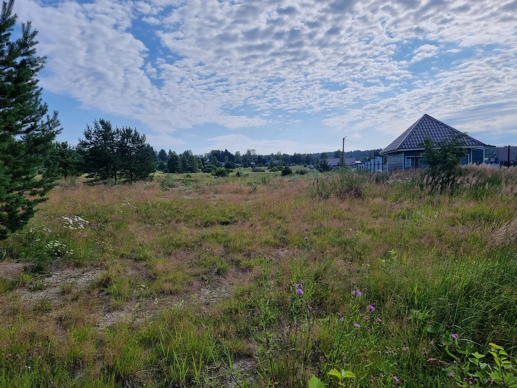 Продажа участка, Бородинское, Выборгский район - Фото 8