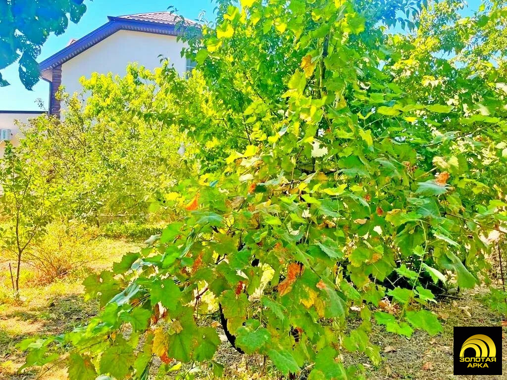Продажа дома, Гостагаевская, Анапский район, ул. Пионерская - Фото 10