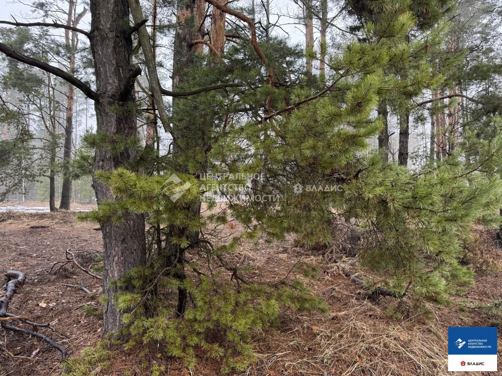 Продажа участка, Рязанский район, садоводческое товарищество ... - Фото 3