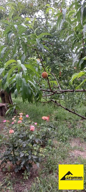 Продажа участка, Ейск, Ейский район, 12 - Фото 6