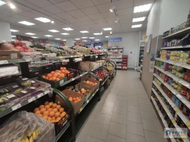 Продажа помещения (ПСН) пл. 484 м2 под магазин,  м. Селигерская в ... - Фото 4