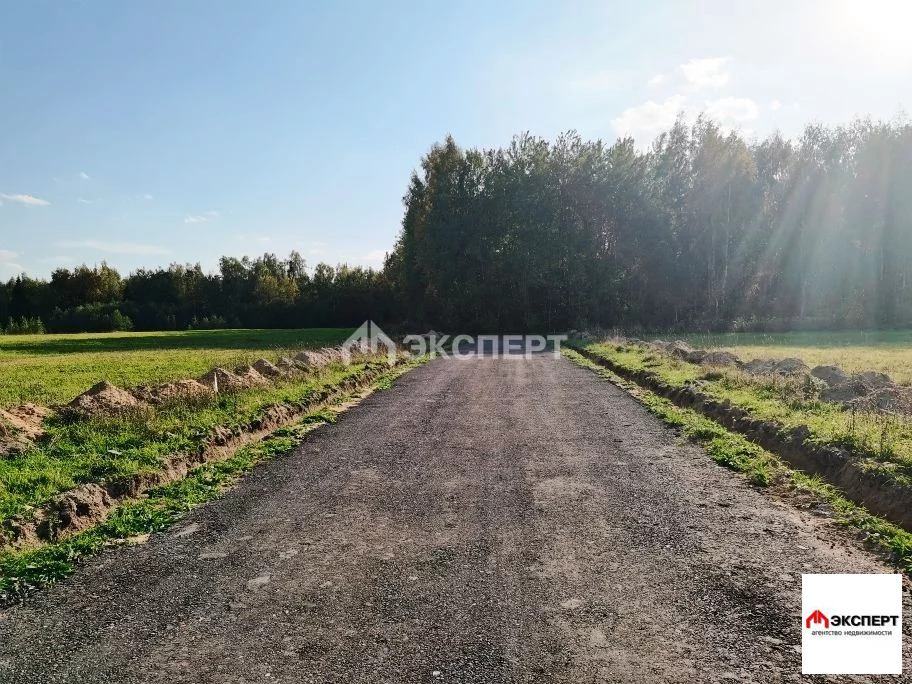 участок 10 соток ИЖС - Фото 4
