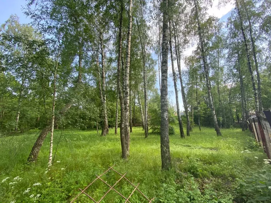 Лесной участок на Рублевке в элитном поселке - Фото 4