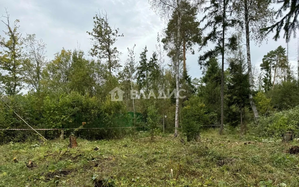 городской округ Солнечногорск, село Алабушево, микрорайон Дедёшино, ... - Фото 5