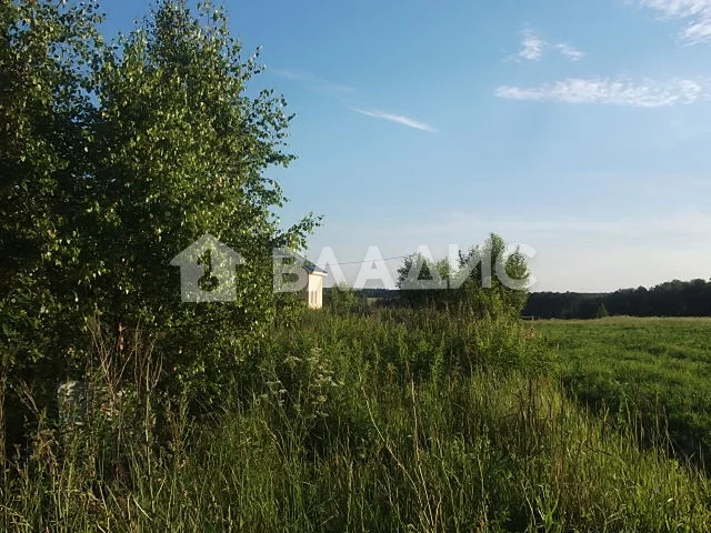 Жуковский район, деревня Тростье, земля на продажу - Фото 11