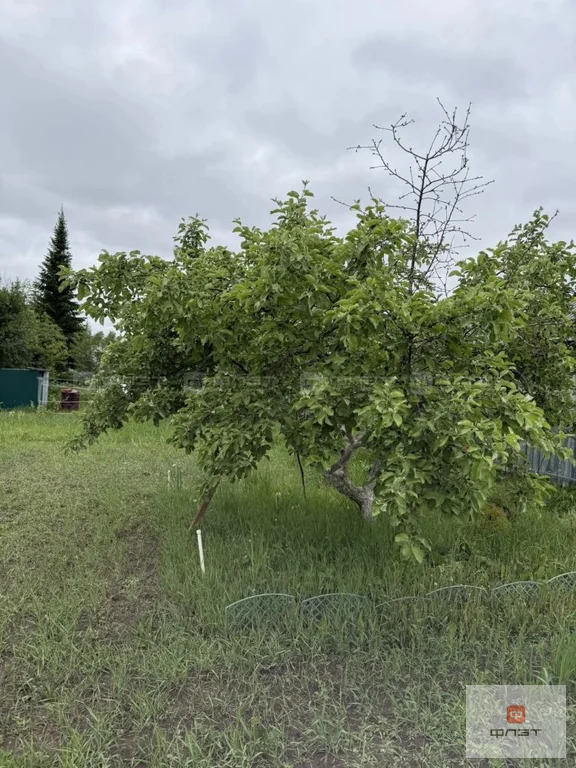Продажа дома, Высокогорский район, Участок - Фото 8
