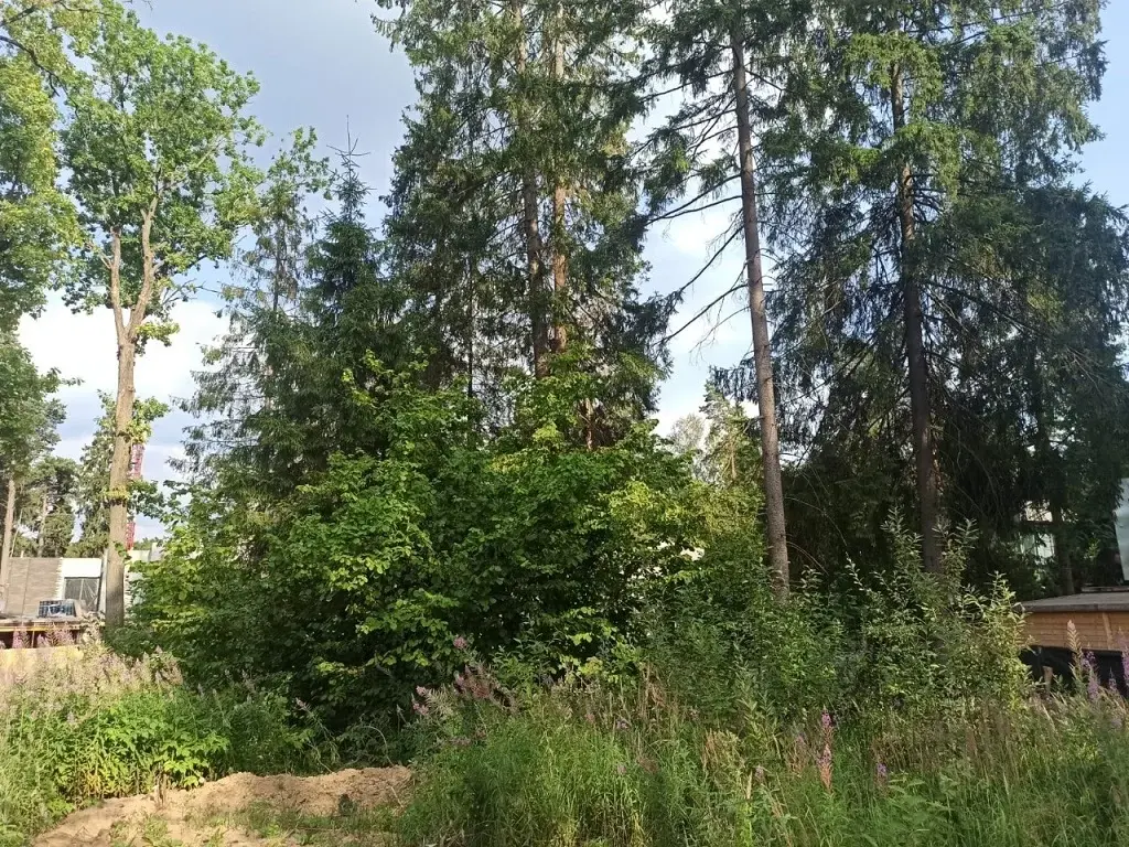 Участок в элитном современном посёлке Успенские леса на Рублевке - Фото 6