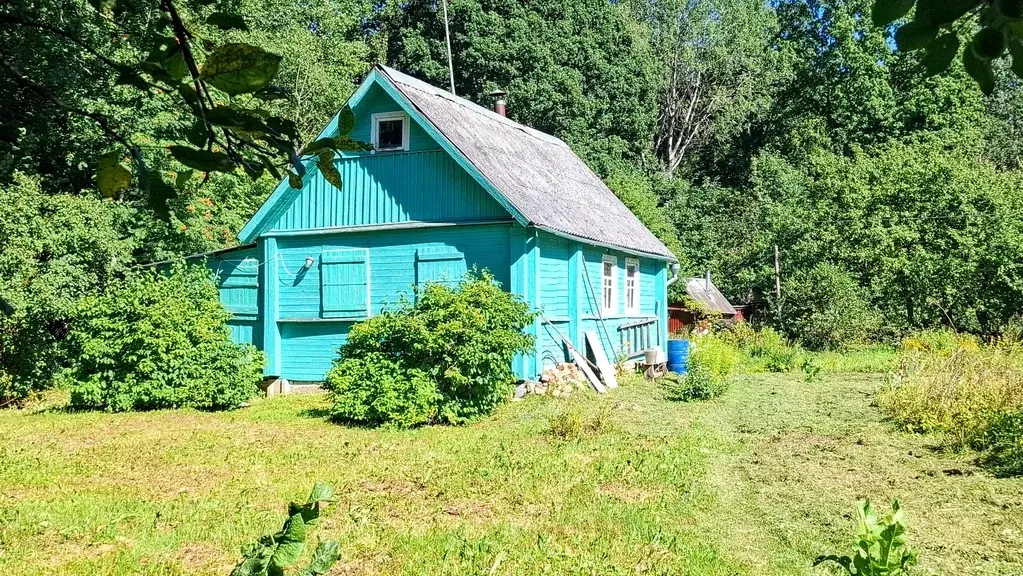 Очень уютный хуторок в лесной роще под Псковом - Фото 11
