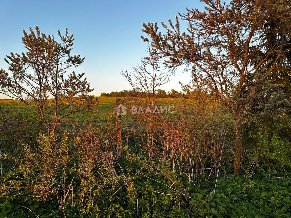 городской округ Истра, садовое товарищество Факел-2,  дом на продажу - Фото 9