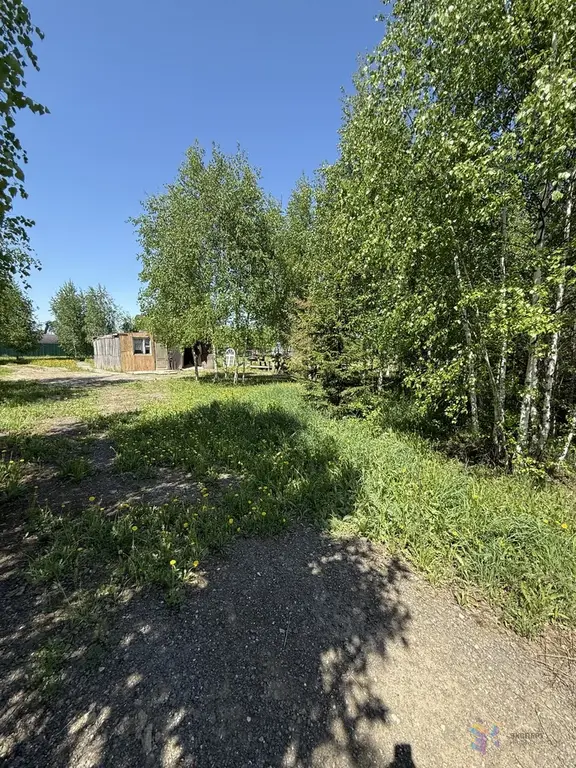 Продаю участок ясные зори - Фото 4