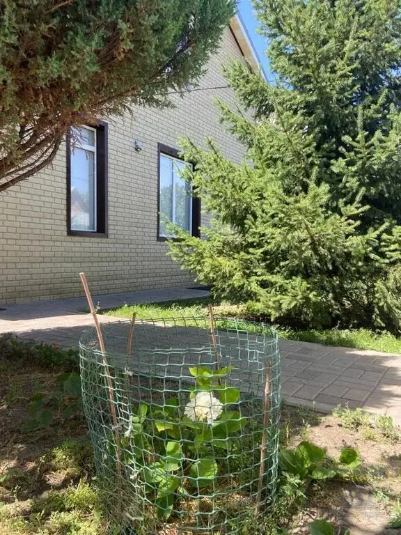 Продаю дом в Мокром Батае Ростовской области Кагальницкий район - Фото 5