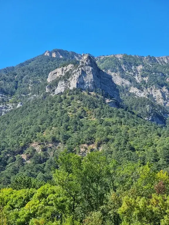 Уникальный участок, у горной реки - Фото 5