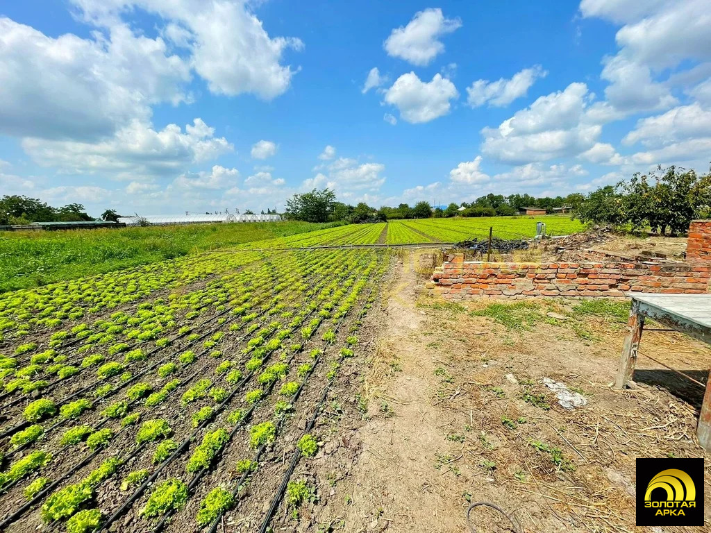 Продажа дома, Полтавская, Красноармейский район, ул. Красная - Фото 9