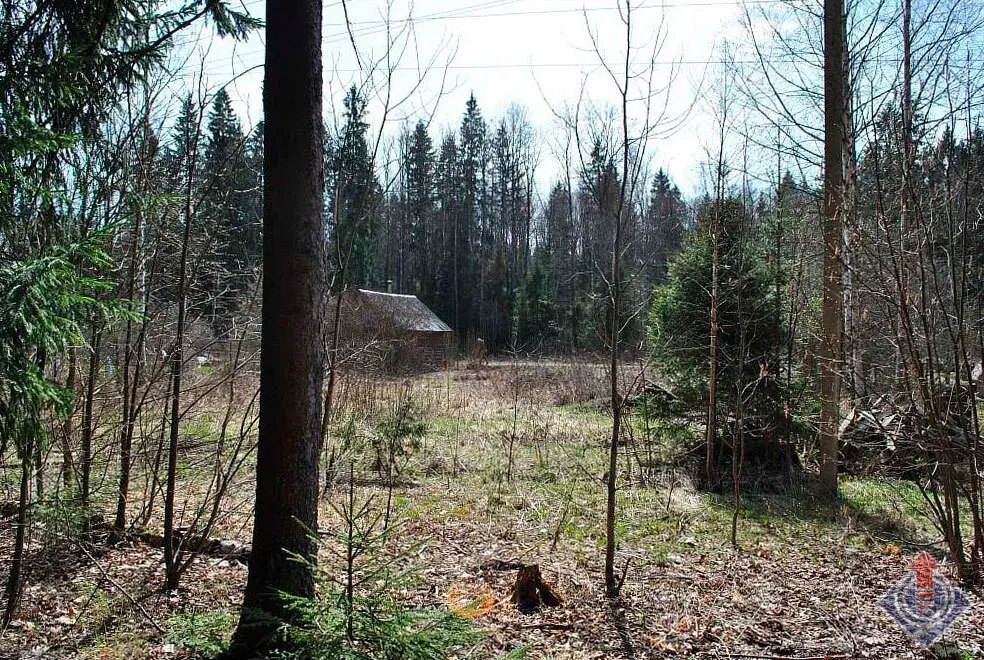 Участок у леса в СНТ Движенец, д. Савеловка, Наро-Фоминский район - Фото 7