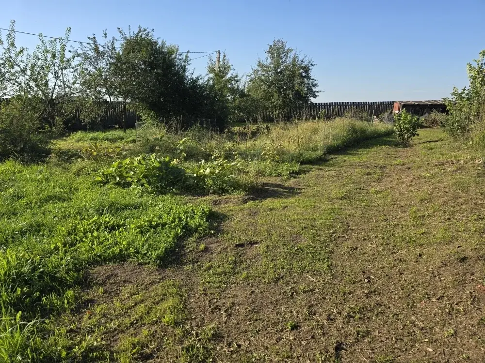 Продаю дом в д. Крутицы - Фото 25