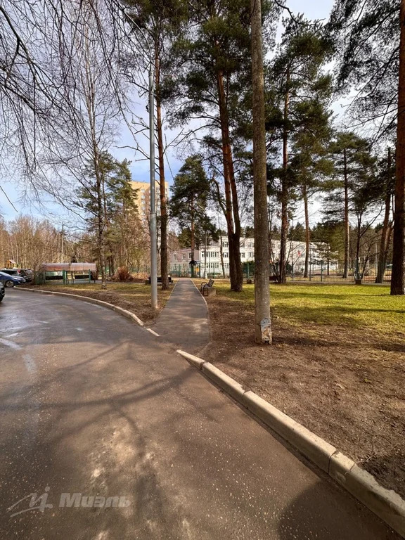 1-комнатная квартира - Фото 18