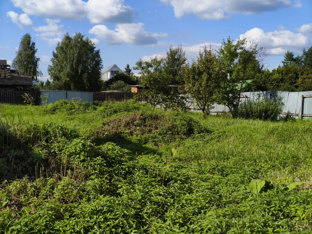 Продажа участка, Руднево, Новофедоровское с. п., ул. Дальняя - Фото 6